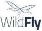 wildfly